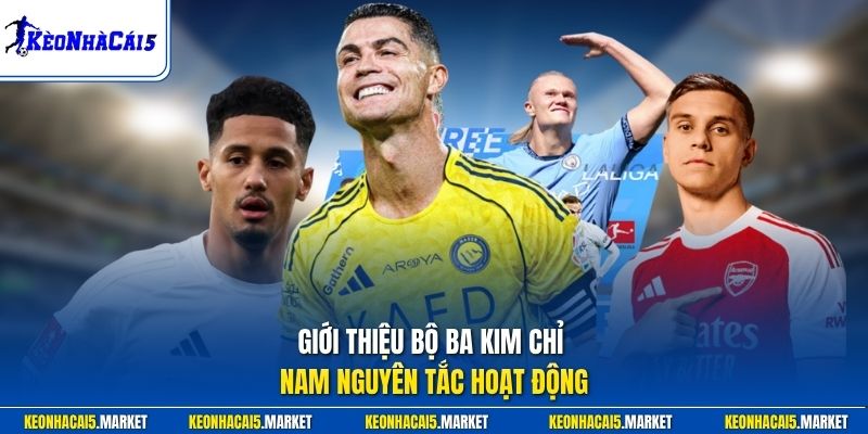 Giới Thiệu 2 Giới thiệu bộ ba kim chỉ nam nguyên tắc hoạt động